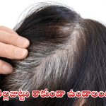 Tips For White Hair: తెల్ల జుట్టు రాకుండా ఉండాలంటే ?