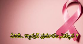 Cancer Risk: వీరికి.. క్యాన్సర్ వచ్చే ప్రమాదం ఎక్కువట !