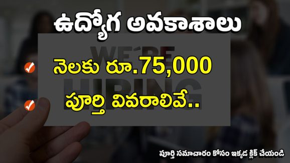 JOBS: నిరుద్యోగులకు గుడ్ న్యూస్.. డిగ్రీ, పీజీ అర్హతతో ఉద్యోగాలు.. దరఖాస్తుకు చివరి తేది ఇదే..