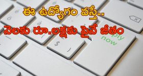 CSIR-CEERI Jobs: సీఎస్‌ఐఆర్‌–సీఈఈఆర్‌ఐలో JOBS.. రూ.1,00,000 పైనే జీతం..
