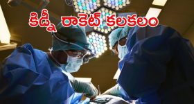 Kidney Transplant: హైదరాబాద్‌లో డాక్టర్ల అరాచకం.. ఏకంగా మనిషి కిడ్నీలనే..?