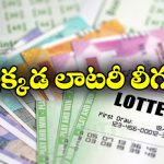 Lottery Tickets: ఈ రాష్ట్రాల్లో లాటరీ టికెట్లు చట్టబద్దం.. తెలుగు రాష్ట్రాల ప్రజలు కొనచ్చా?