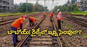 Indian Railways: 8 నెలల డ్యూటీకి 12 నెలల సాలరీ.. రైల్వేలో ఉద్యోగంతో ఇన్ని లాభాలున్నాయా?