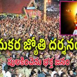 Makara Jyothi : శబరిమలలో మకర జ్యోతి దర్శనం.. శరణుఘోషతో మారుమోగుతున్న అయ్యప్ప గిరులు..