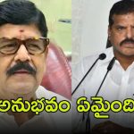Miniaster Anam-Botsa: దిగజారుడు మాటలొద్దు.. బొత్సపై మంత్రి ఆనం ఫైర్