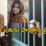 Indian Man Pakistan Love: ప్రియురాలి కోసం అక్రమంగా పాకిస్తాన్ వెళ్లిన భారతీయుడు.. మోసం చేసిన యువతి..కానీ..