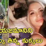 Pet Dogs Eat Corpse: ఇంట్లో అనుమాస్పద స్థితిలో మహిళ శవం.. మృతదేహాన్ని తిన్న పెంపుడు కుక్కలు