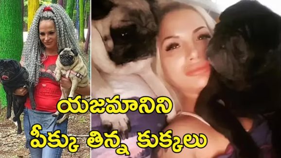 Pet Dogs Eat Corpse: ఇంట్లో అనుమాస్పద స్థితిలో మహిళ శవం.. మృతదేహాన్ని తిన్న పెంపుడు కుక్కలు