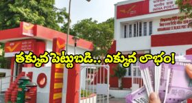 Korean Hair Care: కొరియన్ అమ్మాయిల సిల్కీ, షైనీ హెయిర్ సీక్రెట్ ఇదే !