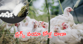  L&T Chairmen comments : ఆదివారం సెలవు ఎందుకు.. మీ భార్యల్ని చూస్తూ ఎంత సేపు కూర్చుంటారు..