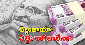 Sreeleela: బాలీవుడ్ డెబ్యూకు సిద్ధమయిన శ్రీలీల.. యంగ్ హీరోతో రొమాన్స్‌కు రెడీ