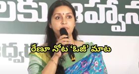 Renu Desai: ఆ రెండే నచ్చవు... పవన్, పిల్లలపై రేణు దేశాయ్ ఇంట్రెస్టింగ్ కామెంట్స్