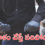 Sankranti Festival : సంక్రాంతికి ఊరెళ్తున్నారా.. జరభద్రం!. ఈ జాగ్రత్తలు పాటించండి.. లేదంటే ఇళ్లు గుల్లే..