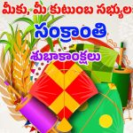 Sankranti 2025 Wishes: స్పెషల్‌గా సంక్రాంతి విషెస్ చెప్పేద్దామా !