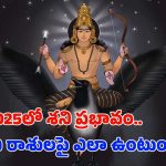Shani Gochar 2025: 2025లో శని ప్రభావం.. ఏ రాశులపై ఎలా ఉంటుందంటే ?