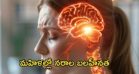 Friday OTT Movies : ఓటీటీలోకి 19 సినిమాలు .. ఆ రెండింటిని మాత్రం మిస్ అవ్వకండి..