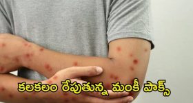 Bengaluru: కన్నడ రాకపోతే బెంగళూరుకు రాకండి, సోషల్ మీడియాలో మళ్లీ రచ్చ షురూ!