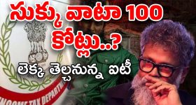 Mahakumbh 2025: జాక్ పాట్ కొట్టేసిన మోనాలిసా.. బాలీవుడ్ మూవీలో అవకాశం..!