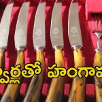 Medak district: మెదక్ జిల్లాలో తల్వార్లతో యువకుల హల్చల్..