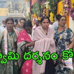 Vaikunta Dwara Darshan: నెరవేరిన బాధితుల కోరిక.. తిరుమలలో స్పెషల్‌గా వైకుంఠ దర్శనం