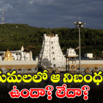 Plane Spotted Tirumala: శ్రీవారి ఆలయంపై విమానం చక్కర్లు.. తెరమీదికి మళ్లీ ఆ అంశం!