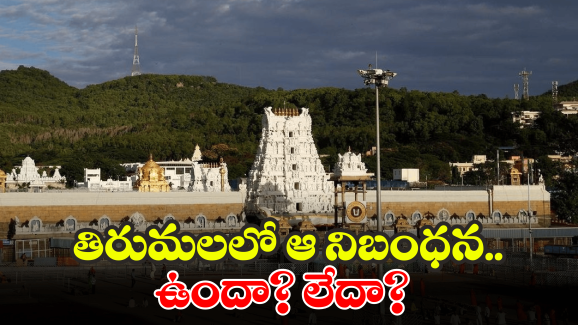 Plane Spotted Tirumala: శ్రీవారి ఆలయంపై విమానం చక్కర్లు.. తెరమీదికి మళ్లీ ఆ అంశం!