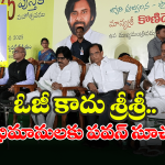 Pawan Kalyan: పాపులారిటీ ఉంటే మేధావులు కానే కారు.. పవన్ సంచలన కామెంట్స్