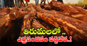 January 2025 Mobiles : గెలాక్సీ S25, వన్‌ప్లస్‌ 13, రెనో 13.. జనవరిలో రాబోతున్న టాప్ మెుబైల్స్ ఇవే!