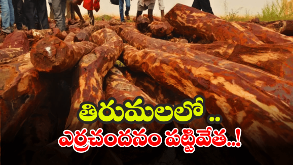 TTD Vigilance: పోలీసులకు ఎదురుగా వెళ్లిన పుష్ప.. దడ పుట్టించిన టీటీడీ విజిలెన్స్