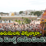 Tirumala: వైకుంఠ ద్వార దర్శనం కోసం తిరుమల వెళ్తున్నారా.. ఇవి తప్పక పాటించండి