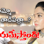 Madhavi Latha: ఫోన్ నిండా అవే.. ఇదెక్కడి బాధరా నాయనా.. నటి మాధవీలత ఆవేదన!