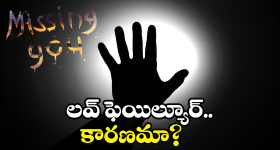 Pushpa 2: అక్కడ రఫ్ఫాడిస్తున్న పుష్పరాజ్.. ఏకంగా రూ.800 కోట్లతో..!