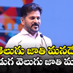CM Revanth Reddy: తెలుగు భాషలోనే అమ్మతనం.. సీఎం రేవంత్ రెడ్డి