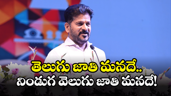 CM Revanth Reddy: తెలుగు భాషలోనే అమ్మతనం.. సీఎం రేవంత్ రెడ్డి