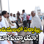 TTD Chairman BR Naidu: ప్రోటోకాల్ పక్కన పెట్టి మరీ.. టీటీడీ చైర్మన్ ఏం చేశారంటే?