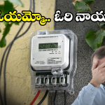 Tirupati News: ఆ ఇంటి కరెంట్ బిల్ చూసి.. గజగజ వణికిన యజమాని.. మరీ అంత ఎలా?