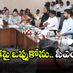 CM Revanth Reddy: సీఎం రేవంత్ రెడ్డి ఆగ్రహం.. ఇకపై జోరుగా తనిఖీలు