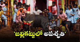 Tirupati Crime: భోగి రోజు విషాదం.. తిరుపతి జిల్లాలో జరిగిన ఘటన