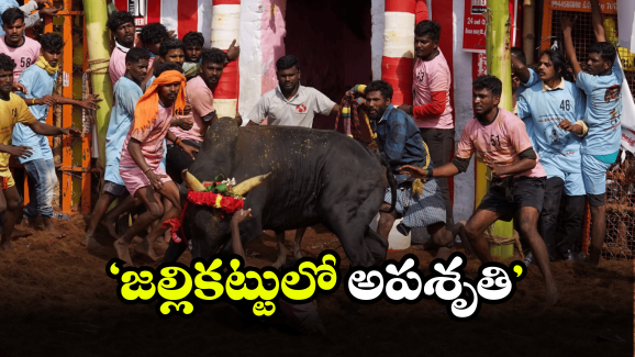 Tirupati Crime: భోగి రోజు విషాదం.. తిరుపతి జిల్లాలో జరిగిన ఘటన