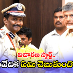AP Govt: ఏపీ సీఐడీ మాజీ చీఫ్ సునీల్ కుమార్‌కు షాక్.. విచారణకు ఆదేశించిన ప్రభుత్వం
