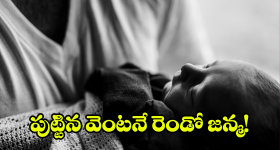 Gorantla Madhav On Modi Govt: విశాఖ ఉక్కు ఫ్యాక్టరీ.. వైసీపీ మాజీ ఎంపీ సంచలన వ్యాఖ్యలు