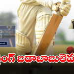Vizag News: వైజాగ్‌లో క్రికెట్ బెట్టింగ్.. ‘బిగ్ బాస్’ కోసం పోలీసుల వేట..