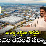 Telangana Govt: దావోస్‌లో తెలంగాణ రైజింగ్.. రాష్ట్రం ఏర్పడ్డాక భారీగా పెట్టుబడులు.. 46వేల జాబ్స్ సాధన..