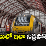 Train Journey: రైలులో కునుకు తీస్తున్నారా.. ఇలా చేయండి.. అలా చేయకండి!