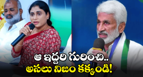 Srinath Maganti: నానిని తిట్టడానికి నువ్వెవడివిరా.. అనిమల్ నటుడు సంచలన వ్యాఖ్యలు