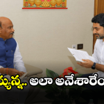 Ayyannapatrudu on Nara Lokesh: లోకేష్ కు డిప్యూటీ.. అయ్యన్న లాజిక్ రిప్లై ఇదే!