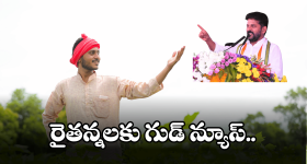 Rythu Bharosa Scheme: ఖాతాల్లో రైతు భరోసా నగదు జమ.. జిల్లాల వారీ వివరాలివే.. ఓసారి చెక్ చేసుకోండి