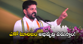 CM Revanth Reddy: తెలంగాణ రాష్ట్రాన్ని ప్రకృతి వనంగా మారుస్తాం.. సీఎం రేవంత్ రెడ్డి