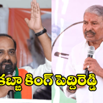 Sathya Kumar Yadav on Peddireddy: సాయిరెడ్డి వ్యవసాయం చేసుకుంటే నాకేంటి? పెద్దిరెడ్డి సంగతి తేలుస్తాం.. మంత్రి సత్యకుమార్