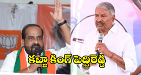 Sathya Kumar Yadav on Peddireddy: సాయిరెడ్డి వ్యవసాయం చేసుకుంటే నాకేంటి? పెద్దిరెడ్డి సంగతి తేలుస్తాం.. మంత్రి సత్యకుమార్